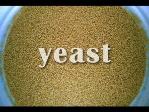 yeast can cause dui